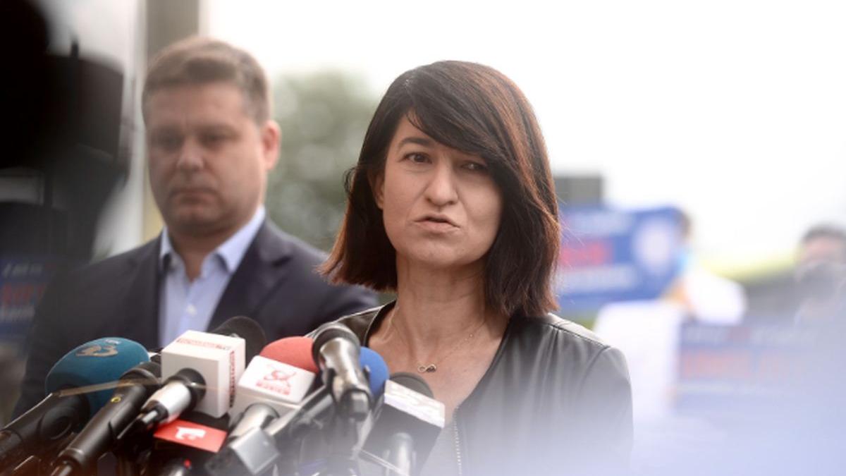 acuzatii incendiare la adresa violetei alexandru se crede stapana peste banii copiilor nostri