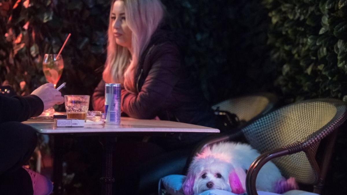 ce se intampla acum la barurile si terasele in bucuresti politistii au facut prapad