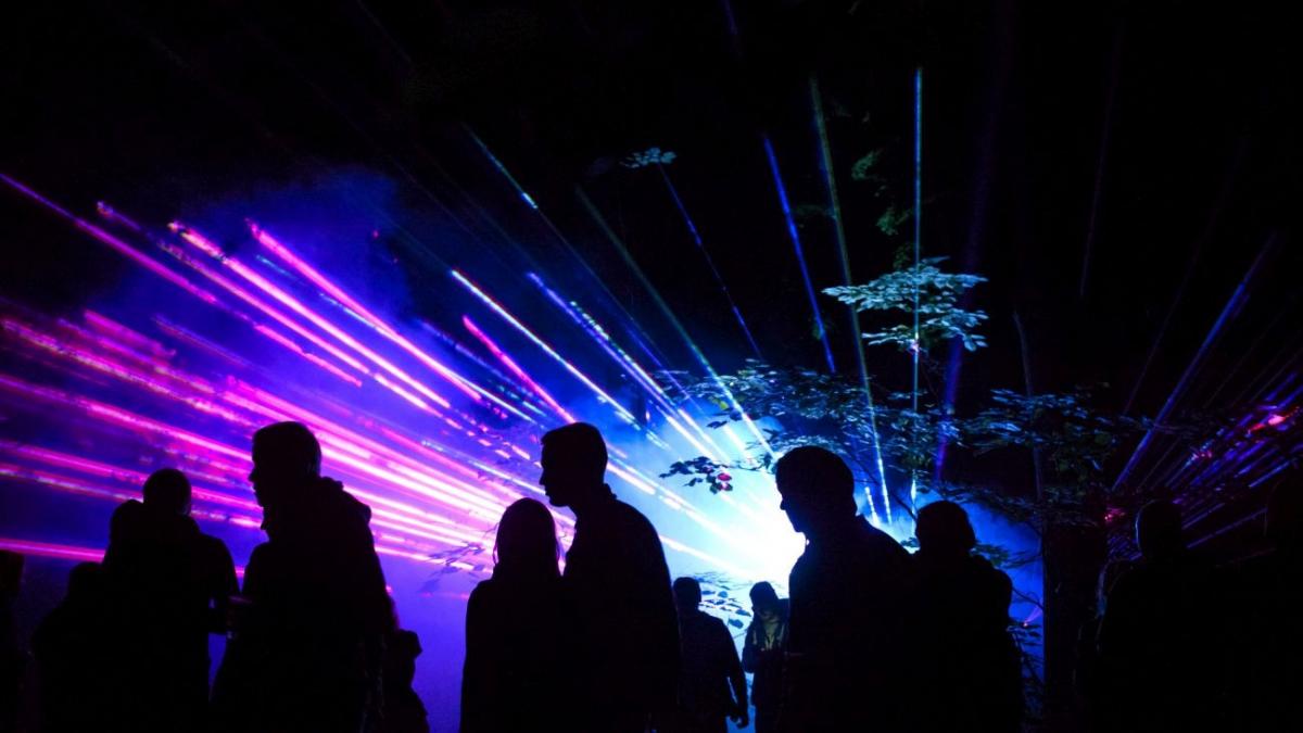 chef electroral urias cu manele in plina pandemie doar sa l votati