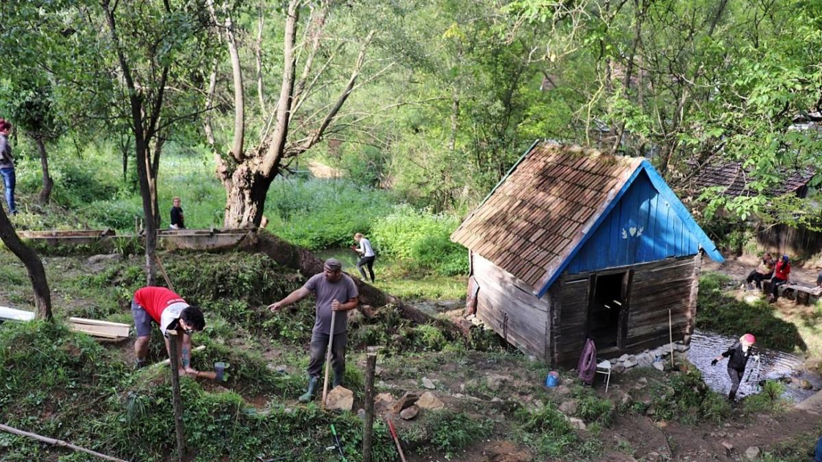 radu si nicoleta trifan romanii care restaureaza satele din banat