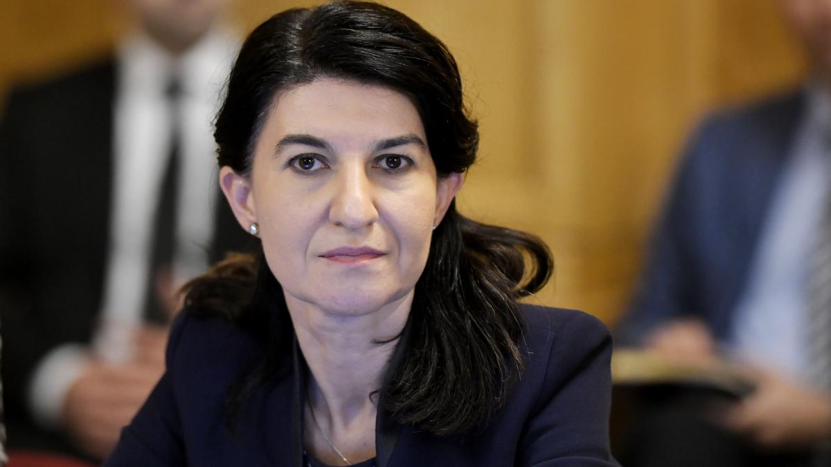 ministrul violeta alexandru face anuntul momentului vechimea in munca ar putea fi cumparata