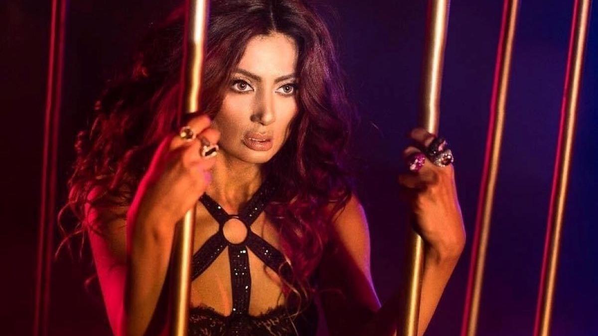 pandemia i a lovit pe artisti o cantareata celebra din romania isi schimba profesia trebuie sa fac