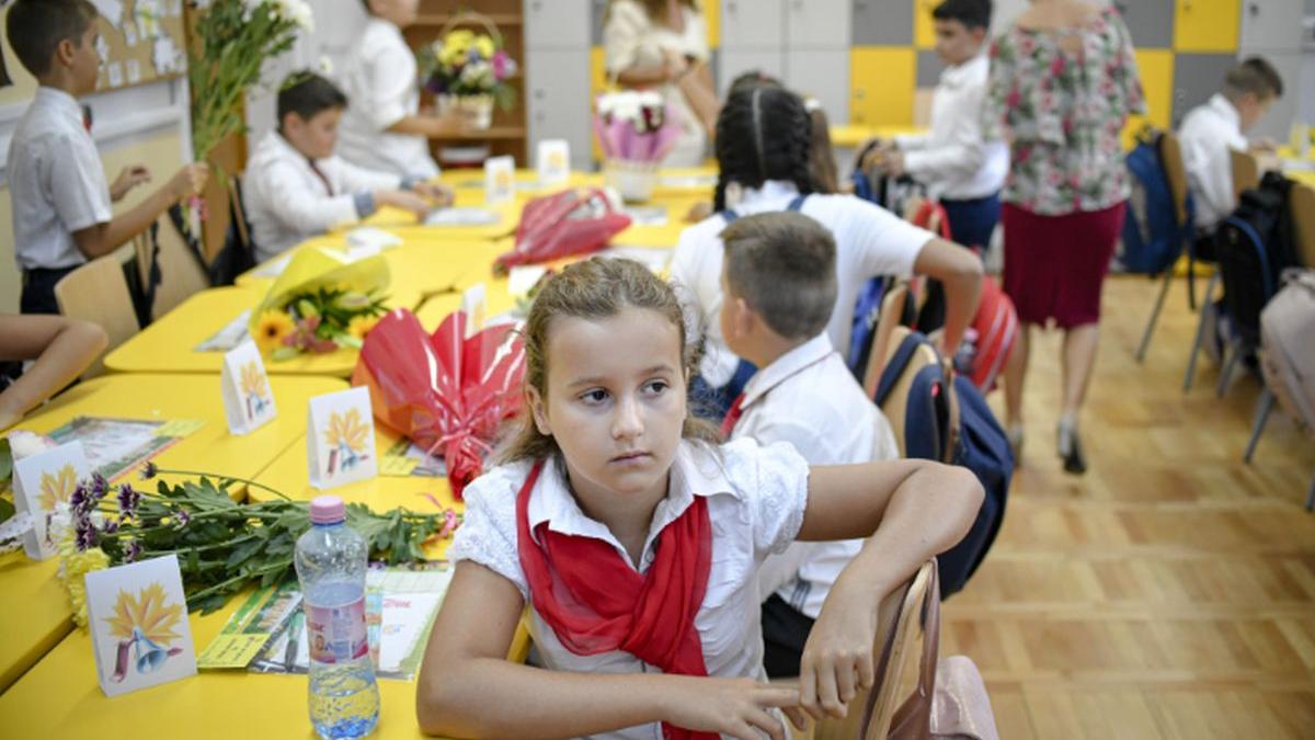 plangerea impotriva guvernului pentru nedublarea alocatiilor este gata daunele se ridica la 64 de