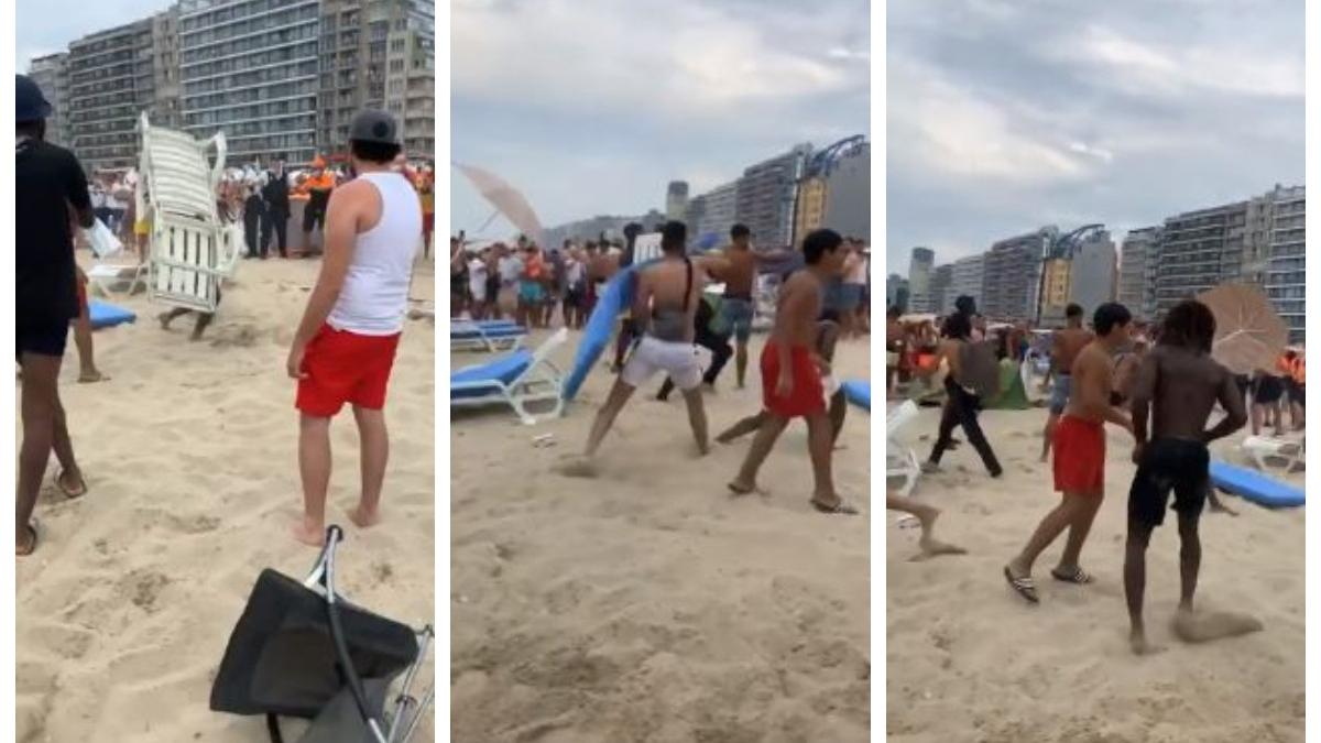 bataie masiva pe o plaja din belgia in plina pandemie turistii au aruncat cu pietre umbrele si