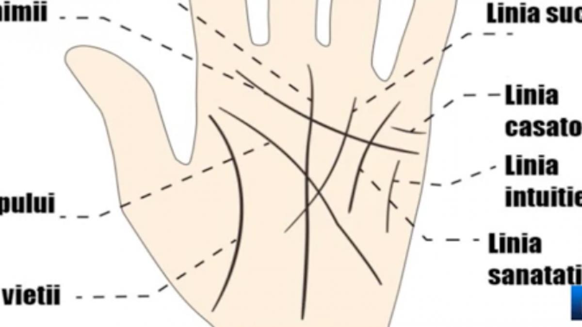 ce spune linia casatoriei despre tine maestrul voropchievici ne spune cum ne dam seama ca avem o