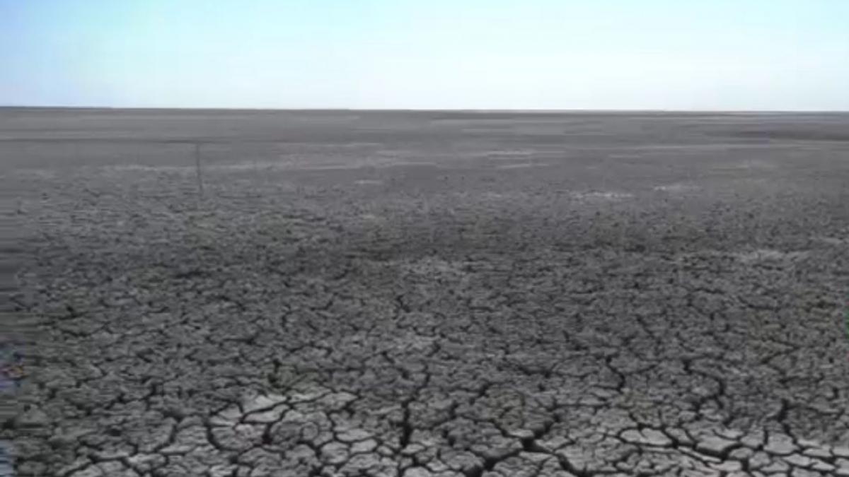 imagini apocaliptice in judetul constanta autoritatile cauta solutii disperate