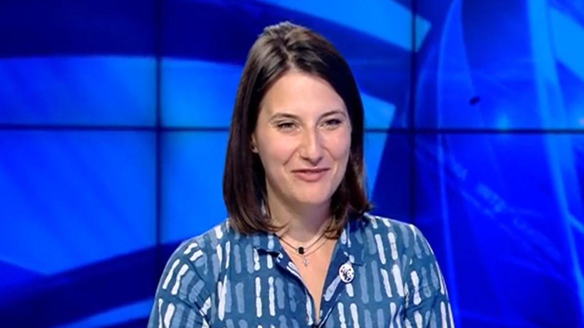 bearflix terapie curata din natura aventurile online ale ursilor din muntii hasmas