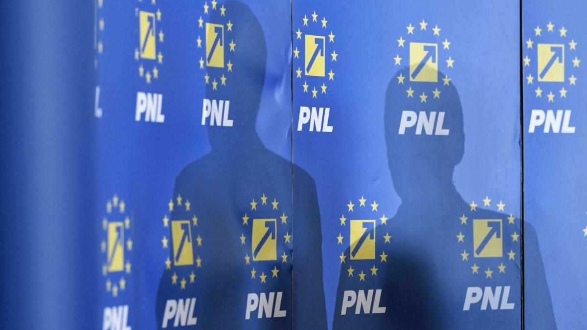 o actrita celebra intra in pnl si va candida la alegerile locale