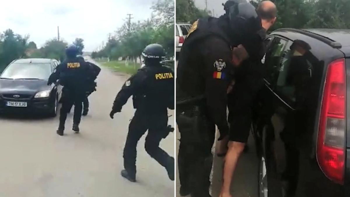 operatiune spectaculoasa flagrant timis tanar saltat mascati