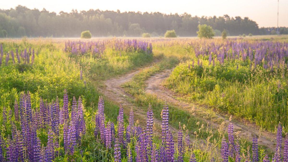 surprize de la meteo cum va fi vremea pana vineri 21 august 2020