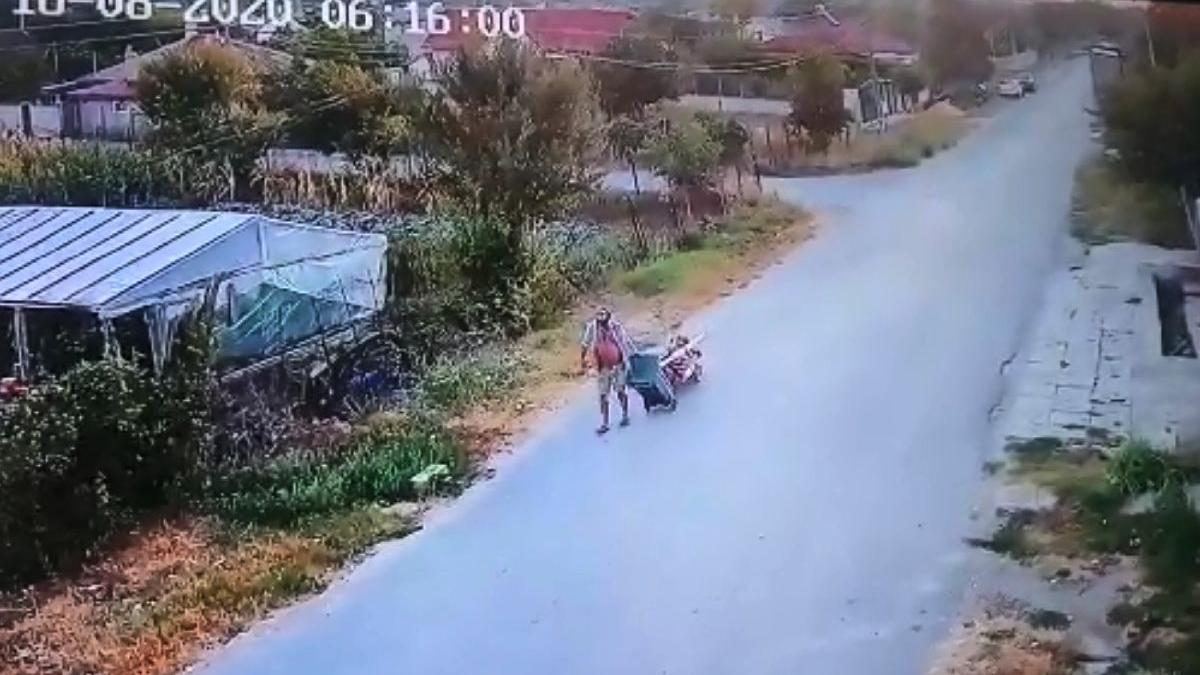 barbat murfatlar tatal mort carut cimitir sa il ingroape