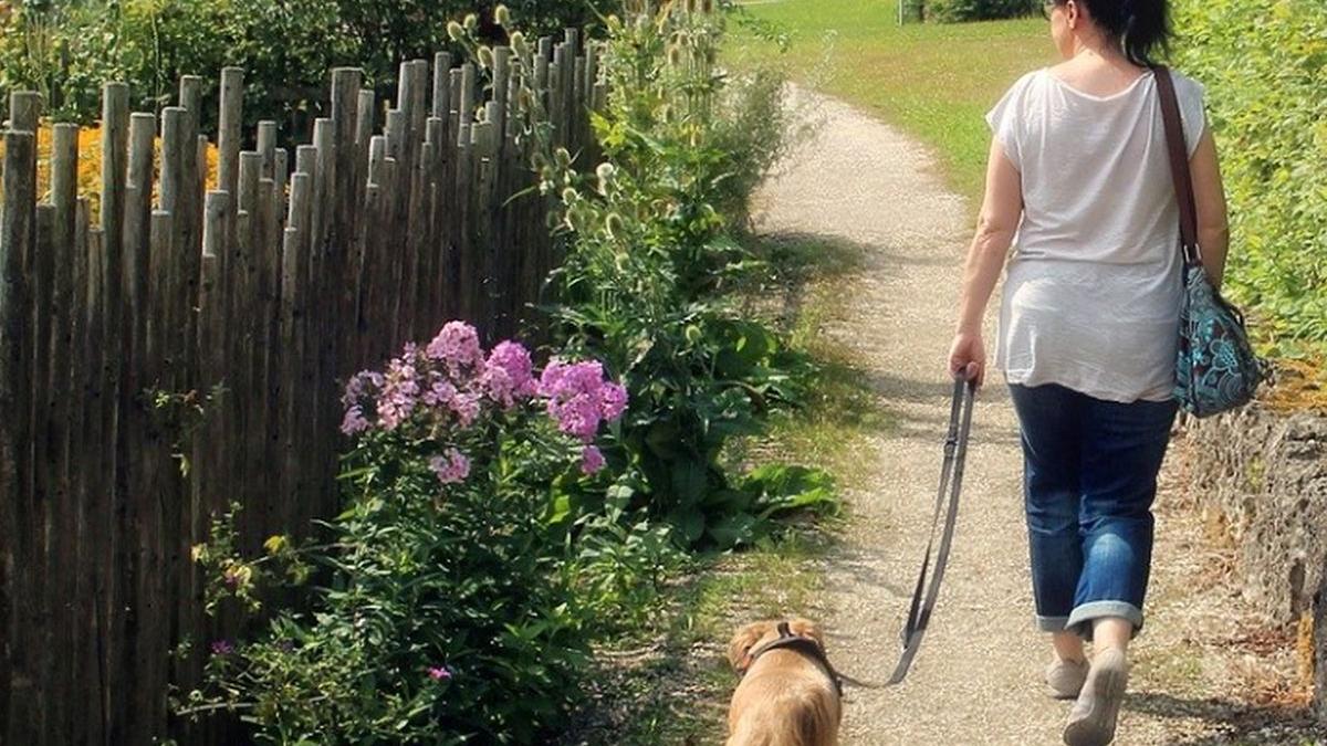 locuitorii acestei tari ar putea fi obligati sa si scoata cainii la plimbare cel putin de doua ori