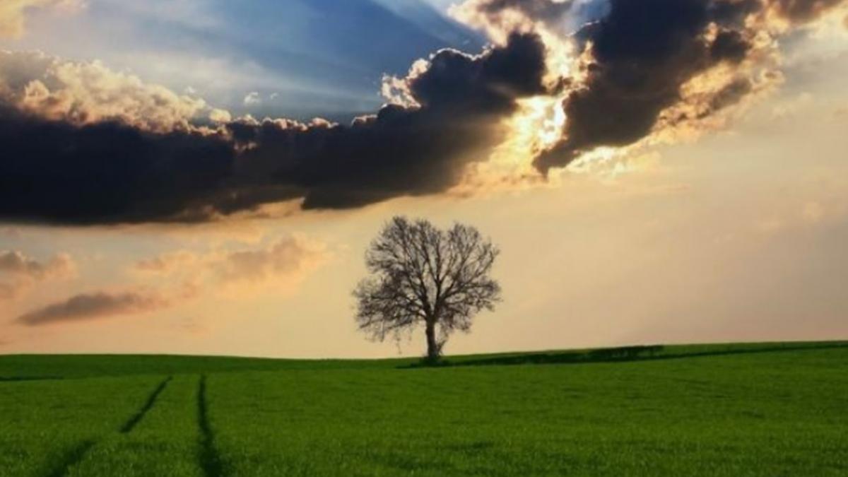 alarmant de sambata 22 august omenirea traieste pe datorie