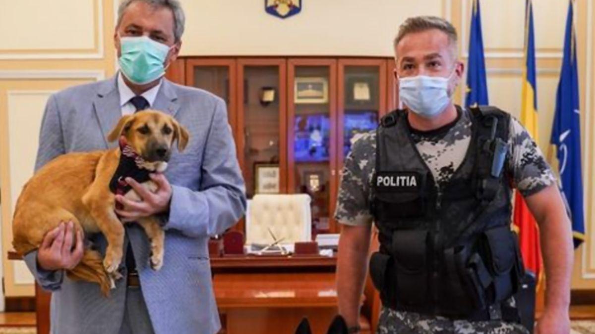 apel de la mai catre romanii care au un caine o pisica sau orice alt animal