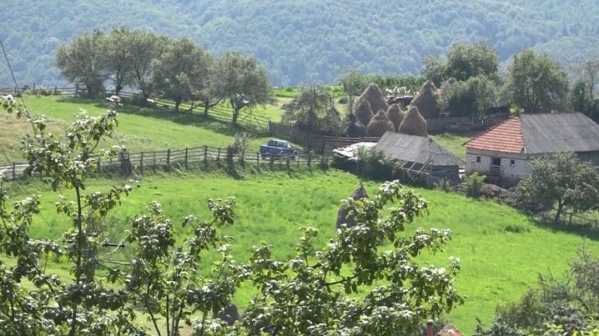 batrana locul de vis din muntii poiana rusca