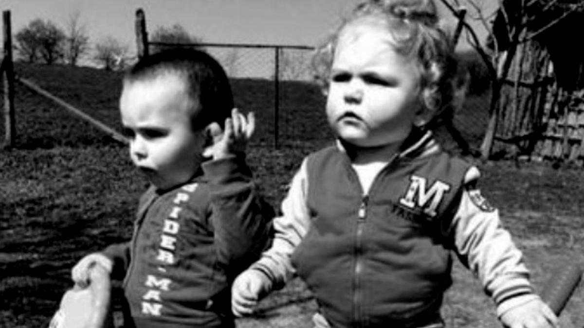 doi fratiori iasi murit struguri primele rezultate autopsii