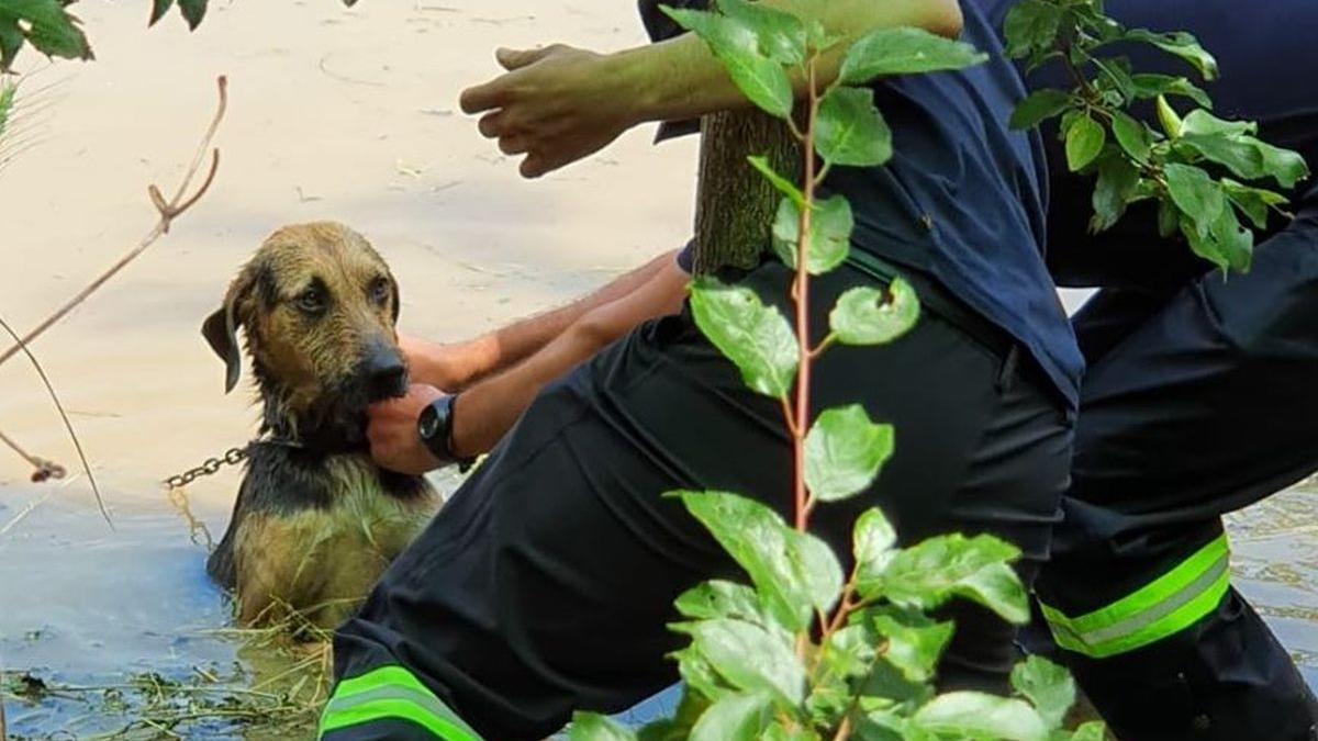 marinescu actul normativ are multe lacune