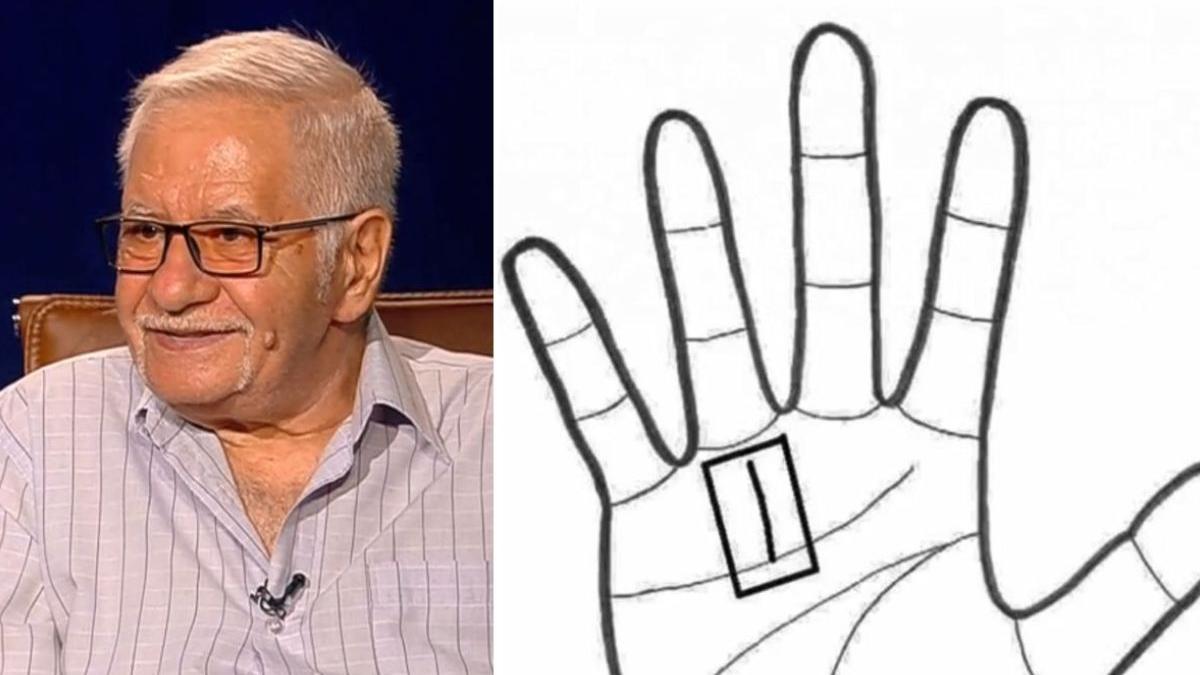 mihai voropchievici despre semnificatia liniei din palma