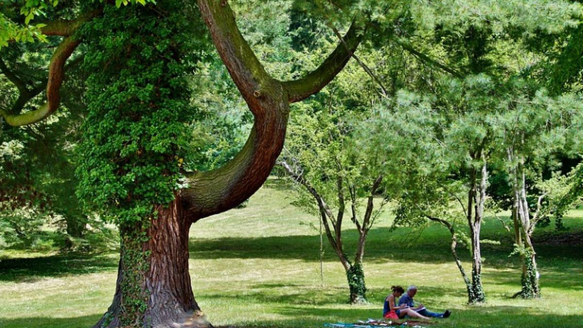 canicula si disconfort termic in capitala si noua judete 36 de grade la umbra