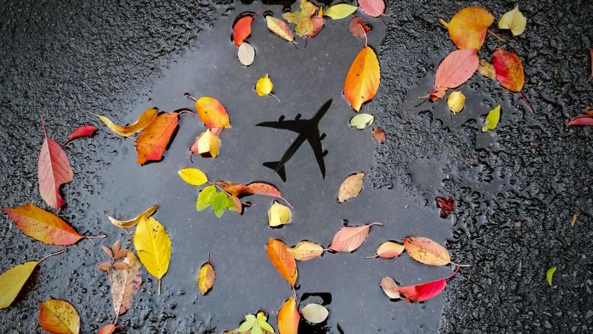 toamna se instaleaza in aproape toata tara insa vara nu se da plecata cand scapam de ploi si vreme