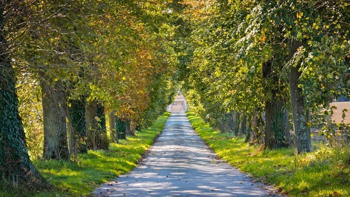 prognoza meteo anm cum va fi vremea in bucuresti si in tara in zilele urmatoare