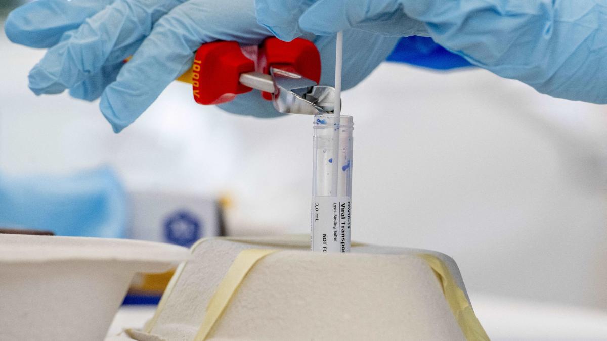 primaria capitalei incepe testarea gratuita a personalului didactic si auxiliar numarul de locuri