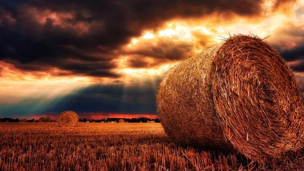 prognoza meteo anm schimbari neprevazute ce se intampla cu vremea