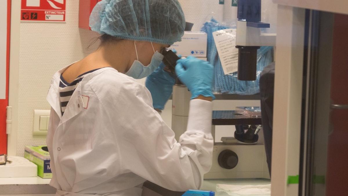 de ce nu facem copii ce legatura au cosmeticele sau ambalajele de plastic medic acesti produsi