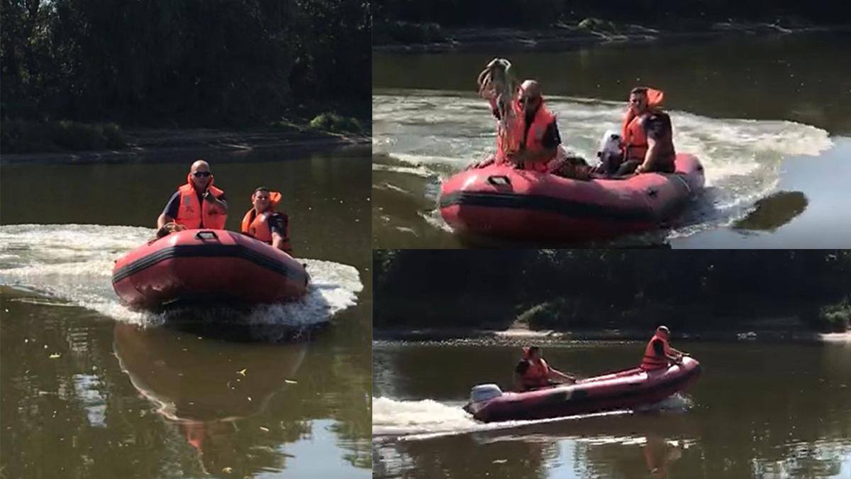 deznodamant tragic in cazul elevului disparut in apele raului mures pompierii i au gasit trupul