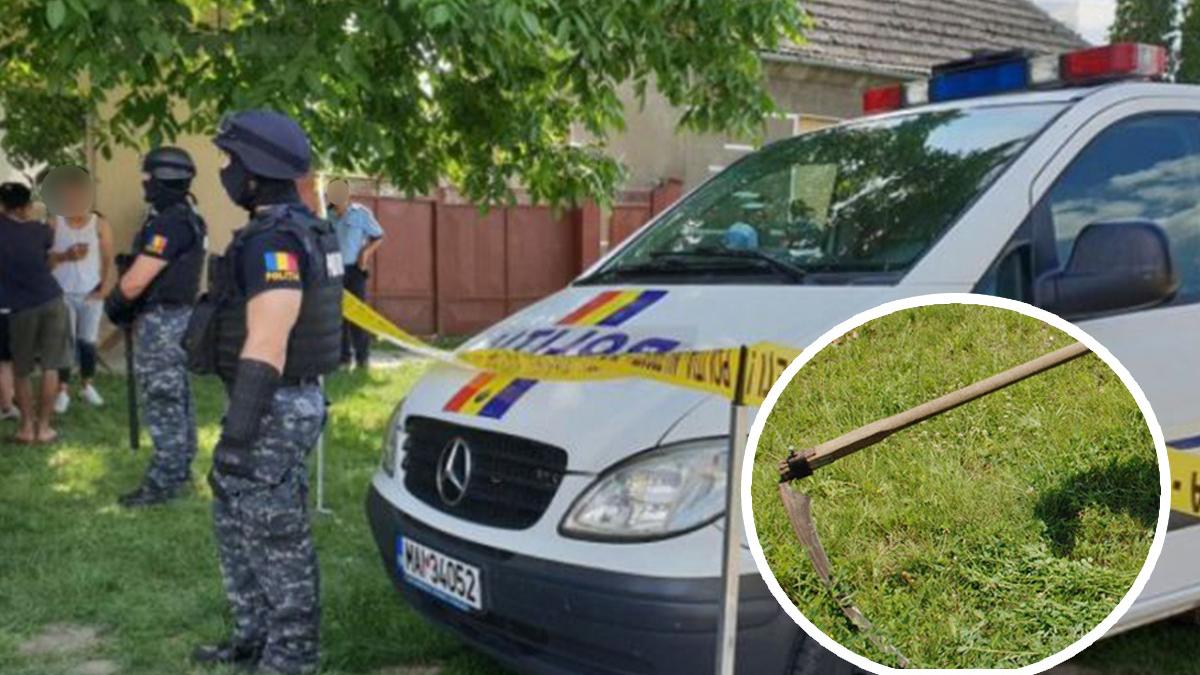 un barbat care si a omorat vecinul cu coasa arestat la domiciliu