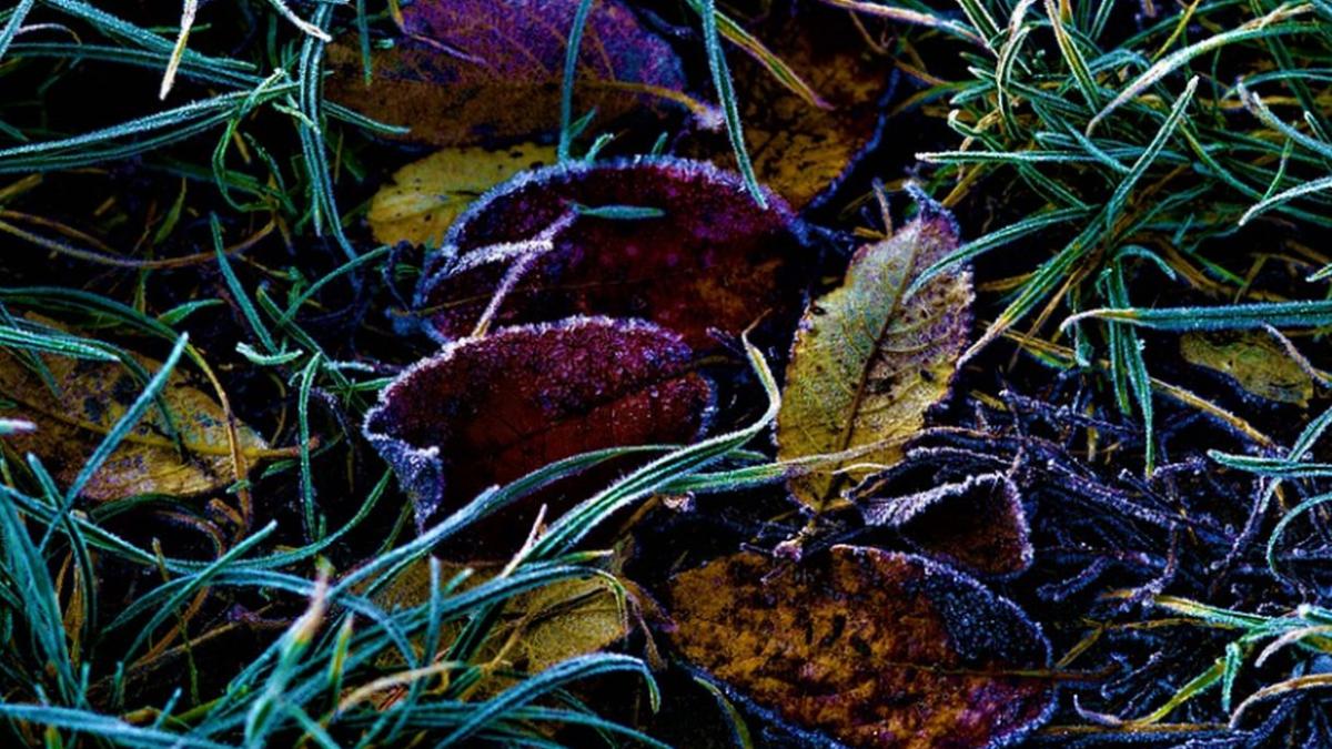 prima temperatura negativa din aceasta toamna unde s au inregistrat 2 grade