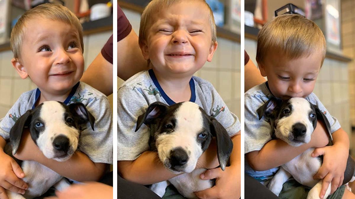 un caine cu buza de iepure a fost adoptat de un copil care are aceeasi afectiune