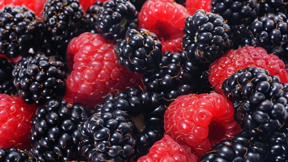 ingredientul care are proprietati miraculoase