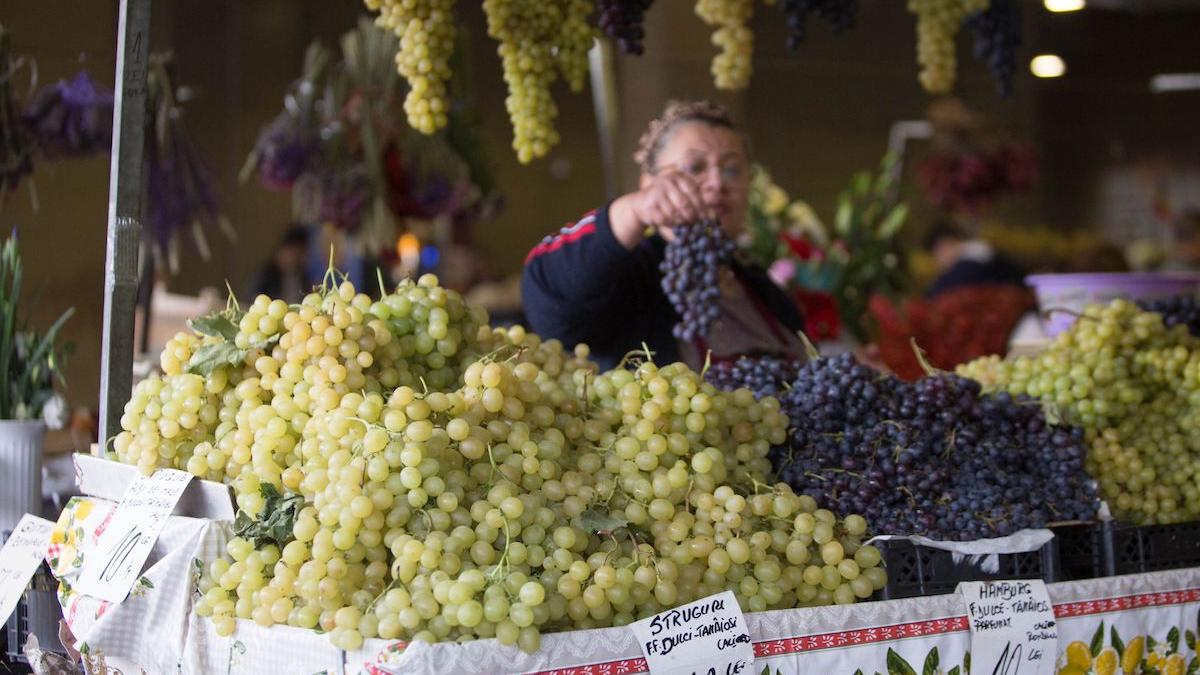 strugurii interzisi pentru aceste persoane alimentul medicament efect negativ asupra organismului