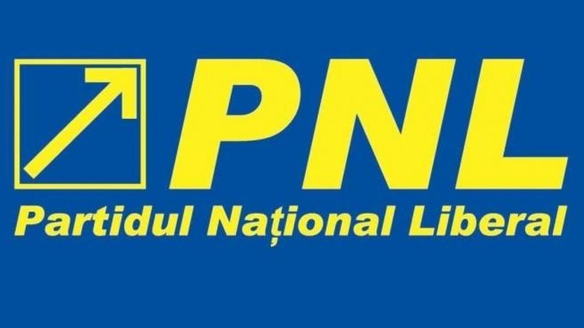 video candidat pnl declaratie halucinanta avem cel mai deflorabil oras din romania