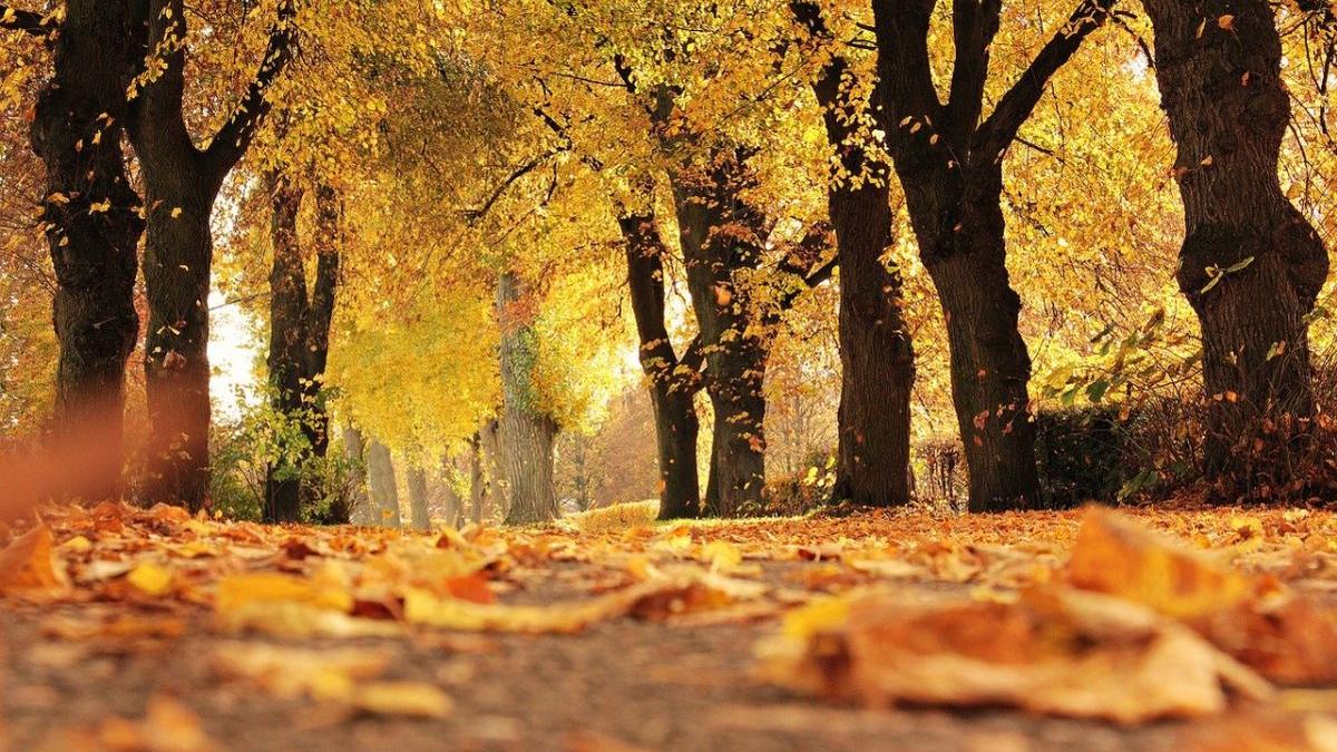 cum va fi vremea in luna octombrie anm a publicat prognoza nu este normal pentru mijlocul toamnei