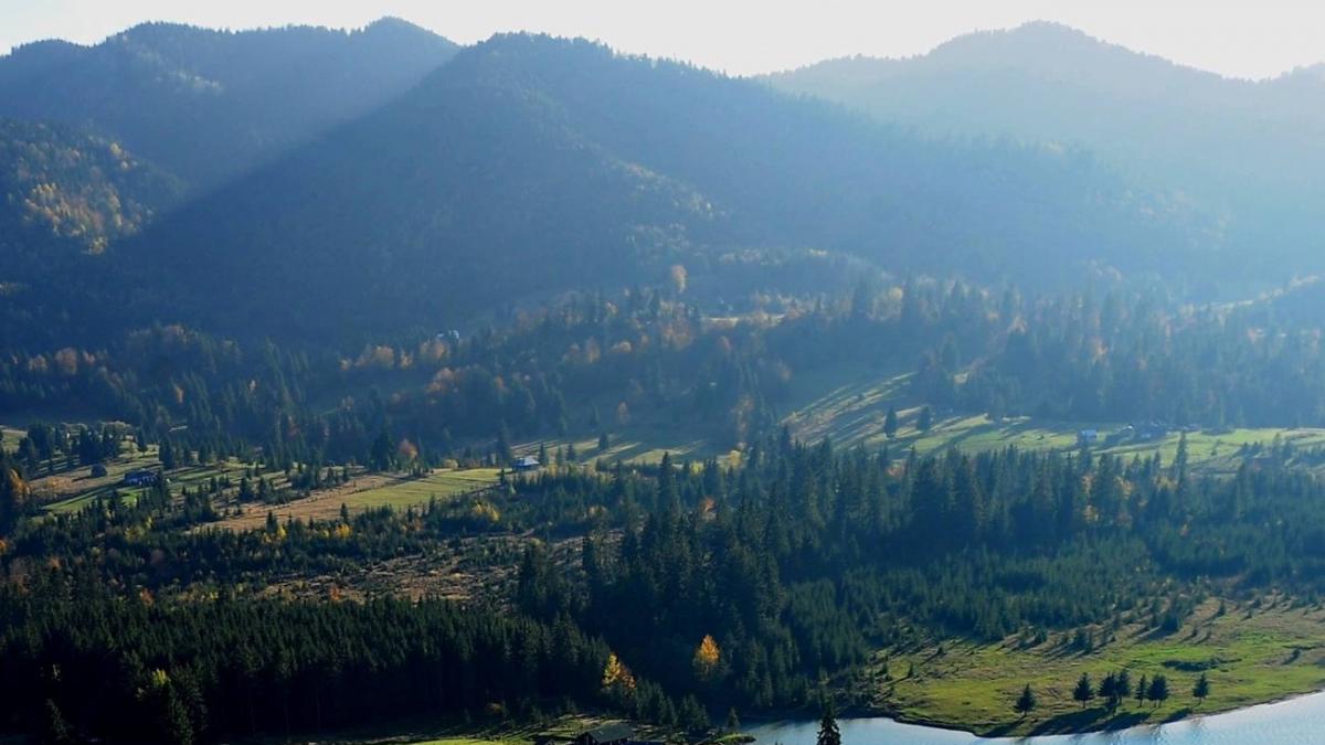 sat terorizat de lupi oamenii sunt revoltati ca autoritatile nu pot interveni