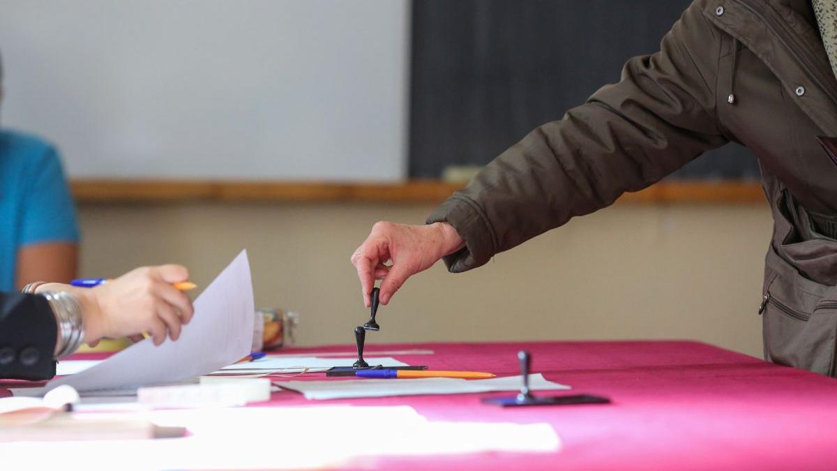 rezultate alegeri locale 2020 primaria braila