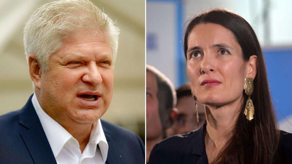 cine a castigat de fapt primaria sectorului 1 e vorba de cateva voturi