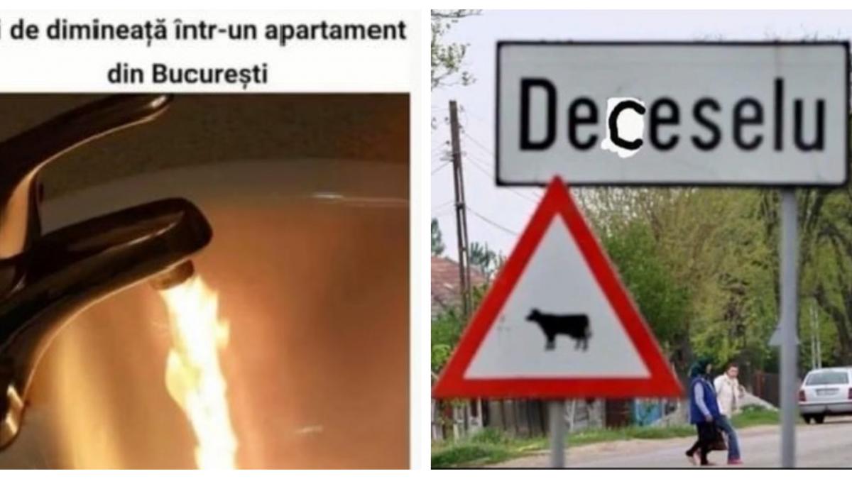 glumele virale de pe internet dupa alegerile locale