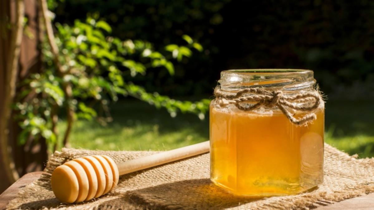 beneficiile mierii de manuka pentru organism