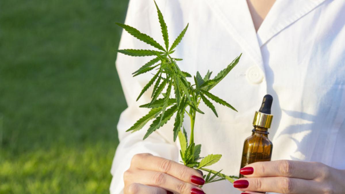tratamentul cu ulei de canabis recomandat de medicii din intreaga lume