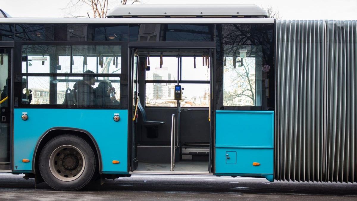 taxatoare batuta cu bestialitate pentru ca a tusit in autobuz