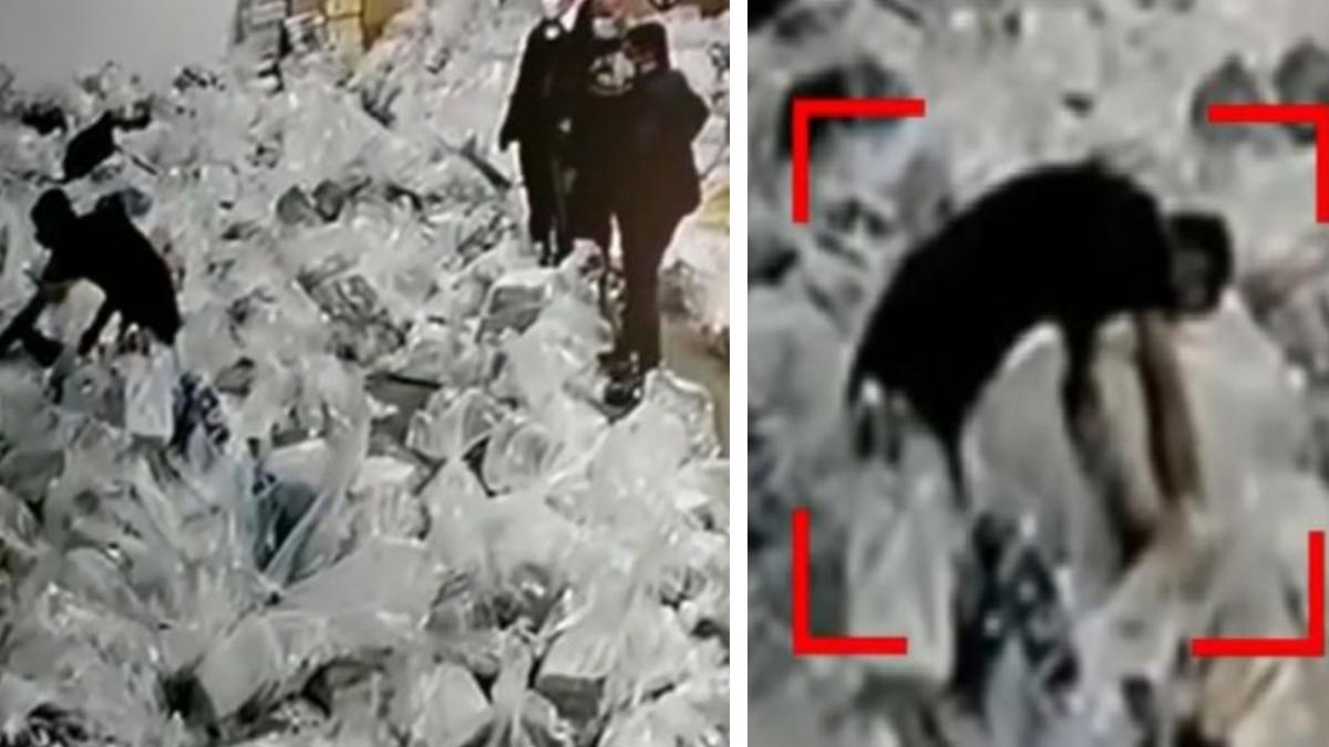 filmul noptii in care s a umblat in sala cu voturi ce s a intamplat de fapt in noaptea alegerilor