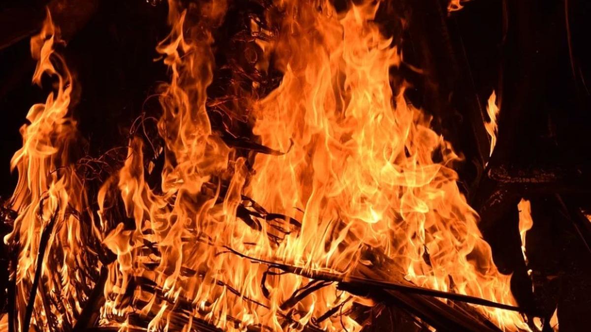 zeci de animale au murit intr un incendiu la arad pompierii au ajuns prea tarziu