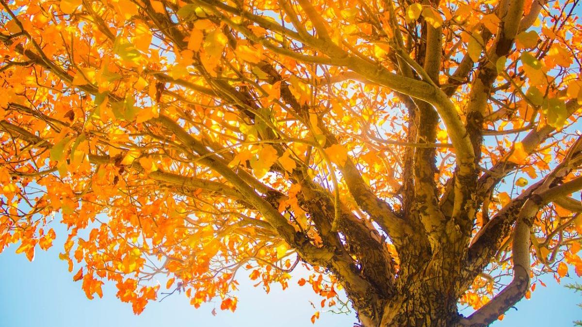 alerta anm ce ne asteapta dupa temperaturi de 33 de grade celsius