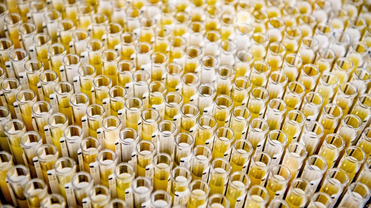 inselatorie cu teste covid facuta de un cadru medical infirmiera isi lua banii si falsifica