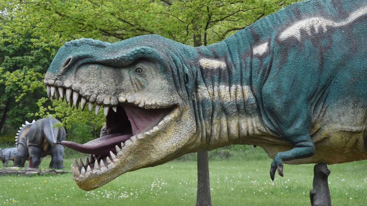 dinozaurt rex licitatie record