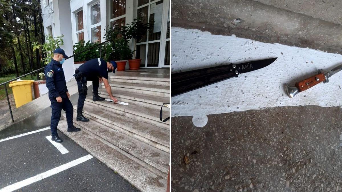 eleva doua cutite pumnal curte liceu pitesti