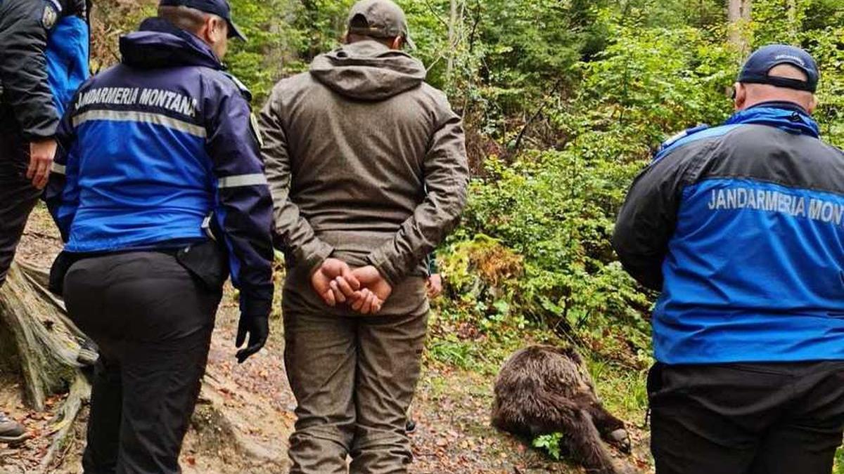 urs busteni cascada urlatoarea capturat